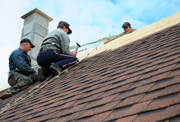 Gutter Installation and Roofing in El Cerro, NM